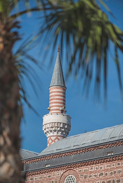 Bulgaria, Plovdiv, Mosque and palm tree