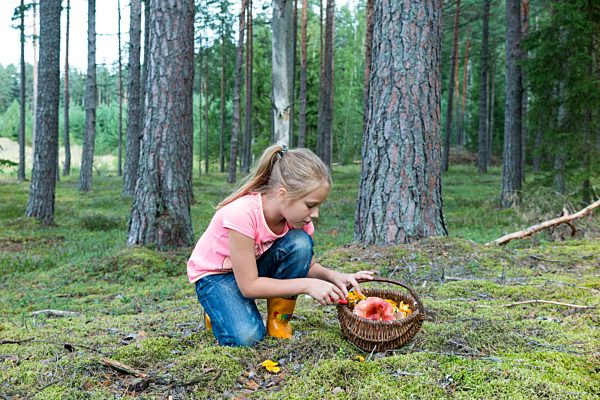 Estonia, girl picking up mushrooms in a forest