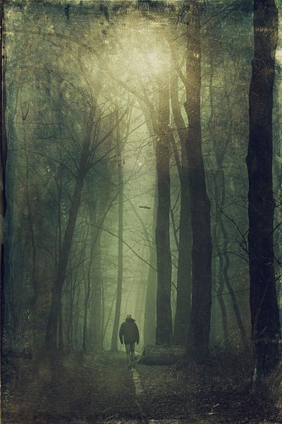 Germany, near Wuppertal, man walking in the wood