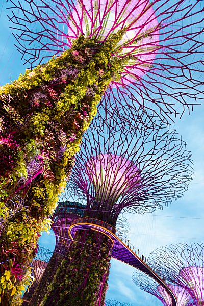 Singapore, Supertrees in Gardens by the Bay at night