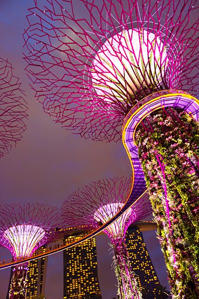 Singapore, lighted Supertrees in Gardens by the Bay and Marina Bay Sands Hotel at night