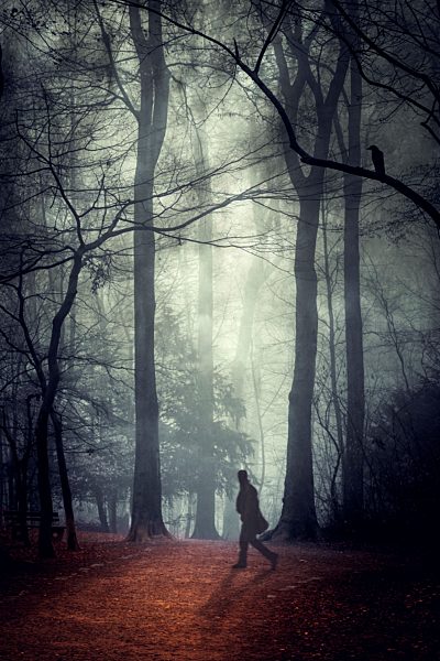 Silhouette of running man in the wood