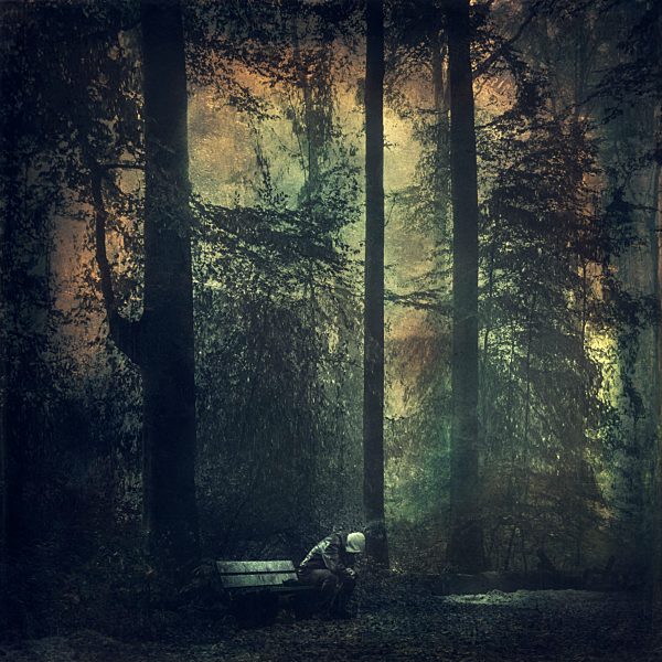 Man sitting on a bench in the forest