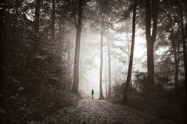 Man walking on forest track in morning mist