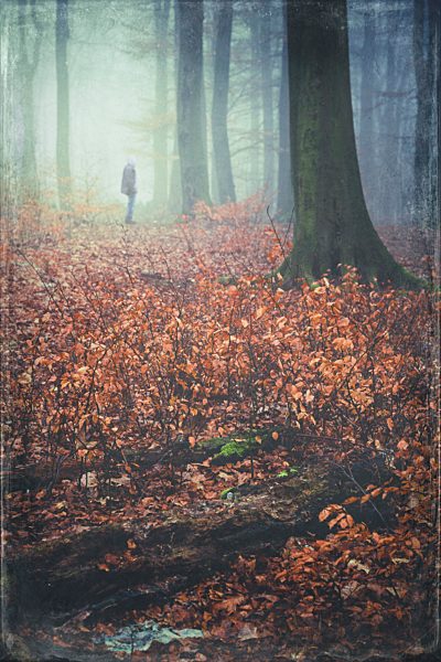 Man standing in the forest