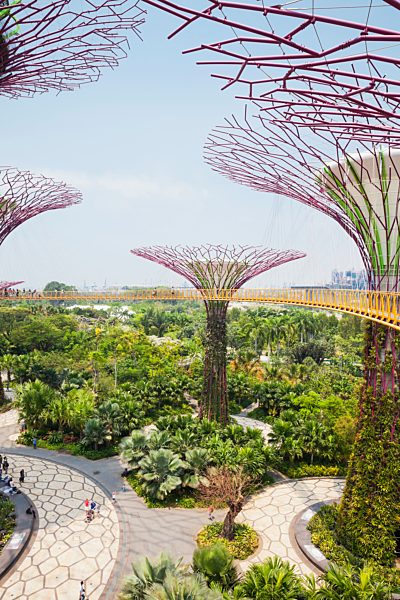Republic of Singapore, Singapore, Supertrees at Gardens by the Bay