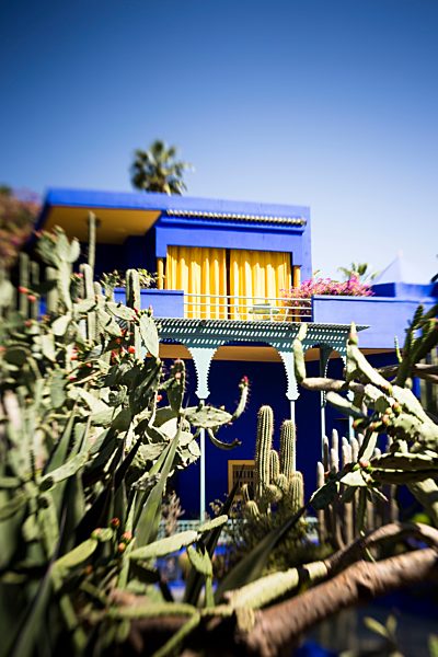 Morocco, Marrakesh, Jardin Majorelle