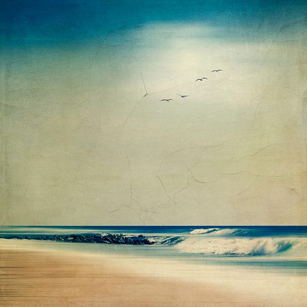 France, Contis-Plage, view to the beach