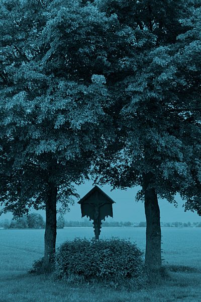 Germany, Dornach, wooden cross between two trees