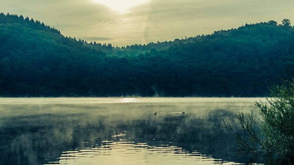 Germany, Hesse, Waldeck, Lake Edersee, morning mist