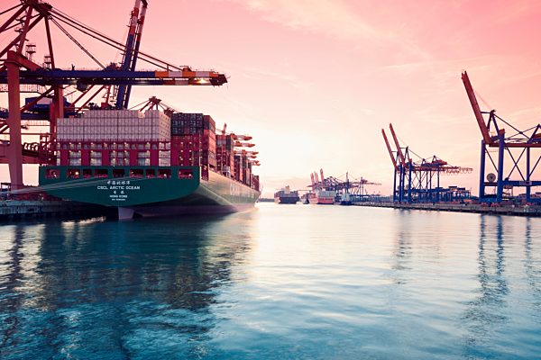Germany, Hamburg, freight ships at Waltershofer harbour