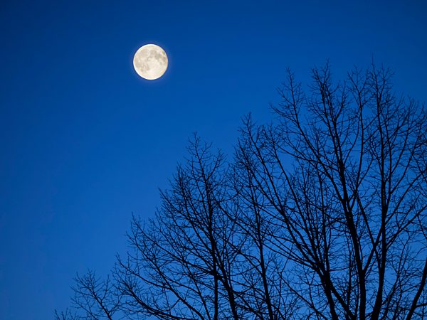 Full moon at Blue Hour