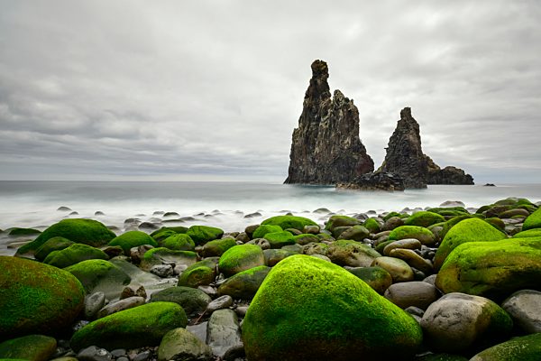 Portugal, Madeira, Rocky coast, Rock formations