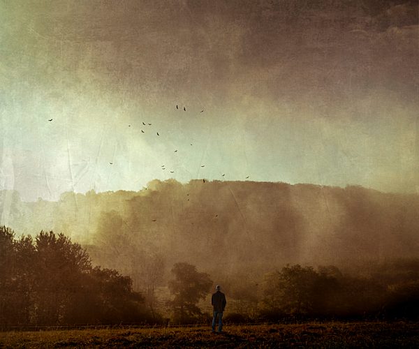 Man standing on meadow at sunset, digitally manipulated