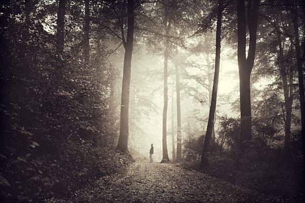 Man on forest pathin the morning, digitally manipulated