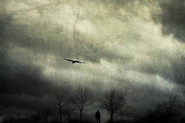 Germany, Wuppertal, man walking between bare trees in front of cloudy sky