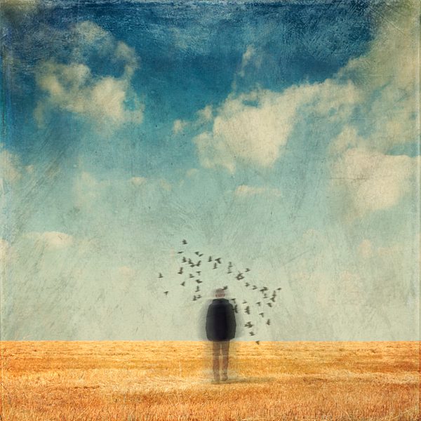 Germany, Wuppertal, back view of man standing on stubble field surrounded by birds