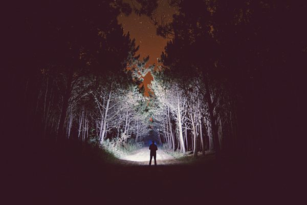 Silhouette of a man standing on forest track at night illuminating the woods with a flashlight