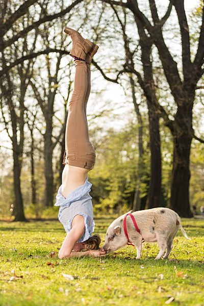 Woman doing headstand with piglet in park