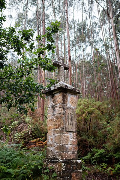 Spain, Ferrol, crucifix made of stone in the forest