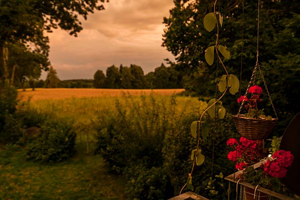 View to fields and forest from balcony at twilight