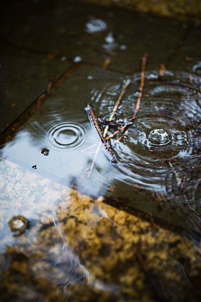 Spain, Water drops on a rainy day