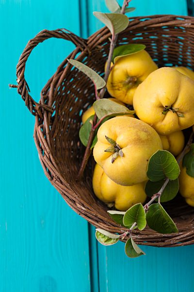 Wickerbasket of quinces