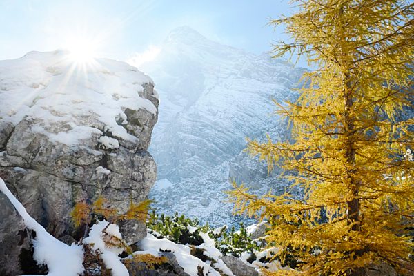 Berchtesgaden Alps, Hochkalter mountain massiv in autumn