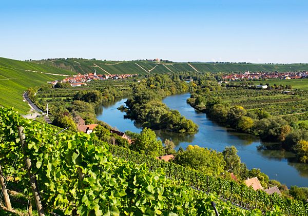 Germany, Lower Franconia, Vineyard near Escherndorf and Nordheim