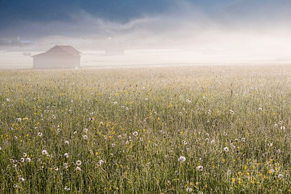 Germany, Bavaria, near Oberstdorf, Loretto meadow