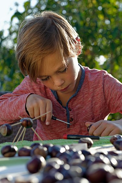 Little boy tinkering chestnut figurines