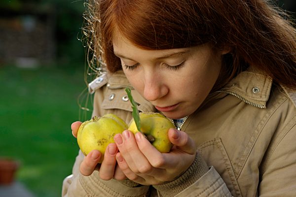 Girl smelling quinces