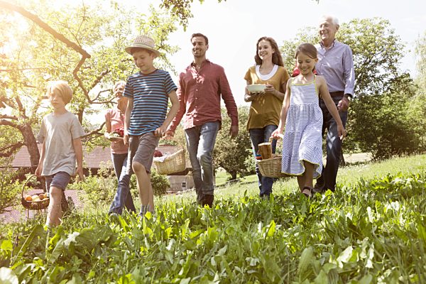 Extended family walking with picnic baskets in meadow