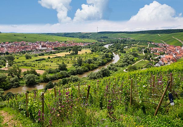 Escherndorf near Vollkach, Nordheim am Main, Main river loop