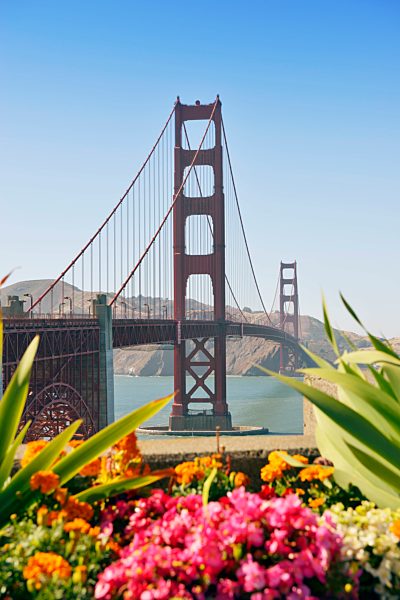 USA, California, San Francisco, Golden Gate Bridge behind flowers
