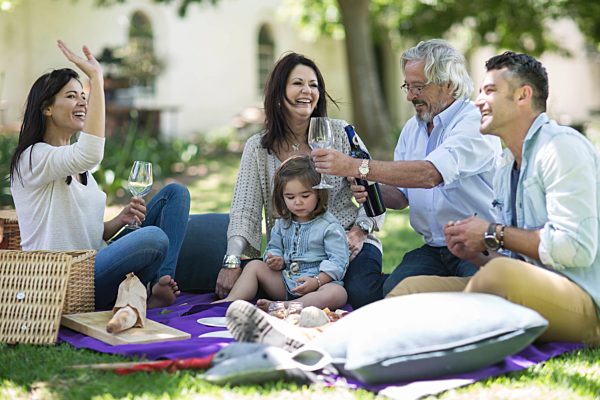 Happy extended family having a picnic