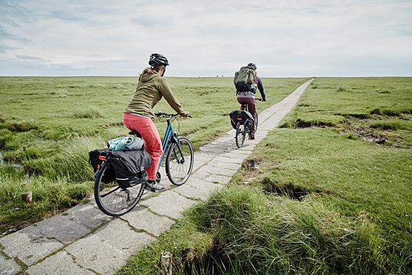 Germany, Schleswig-Holstein, Eiderstedt, couple riding bicycle through salt marsh