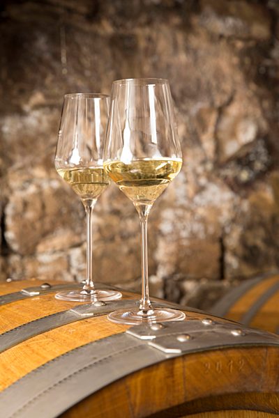 Two glasses of white wine in wine cellar