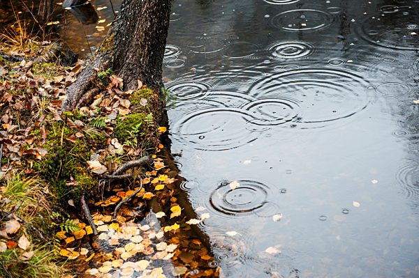 Raindrops falling on water