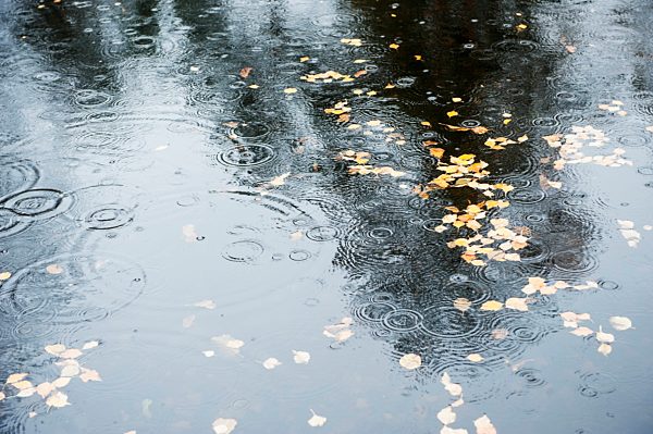 Raindrops falling on water