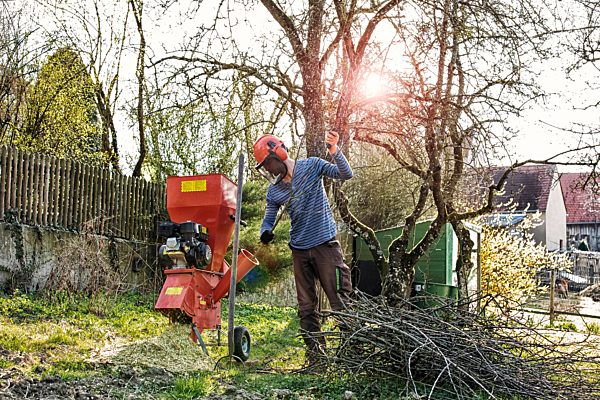Young man chaffing wood