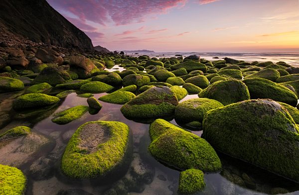 Spain, Galicia, Campelo beach at sunset in Valdovino
