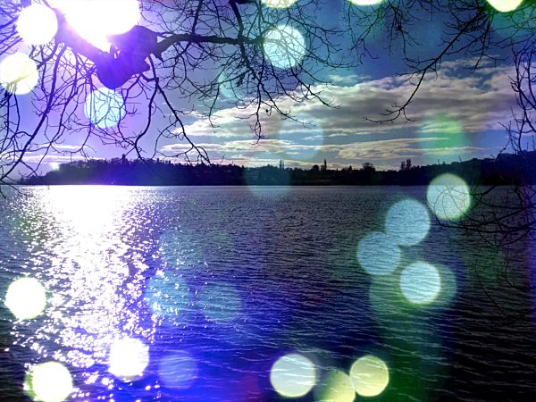 Lake Constance and shore of Konstanz, Germany, Baden-Wuerttemberg, Konstanz, Lake Constance