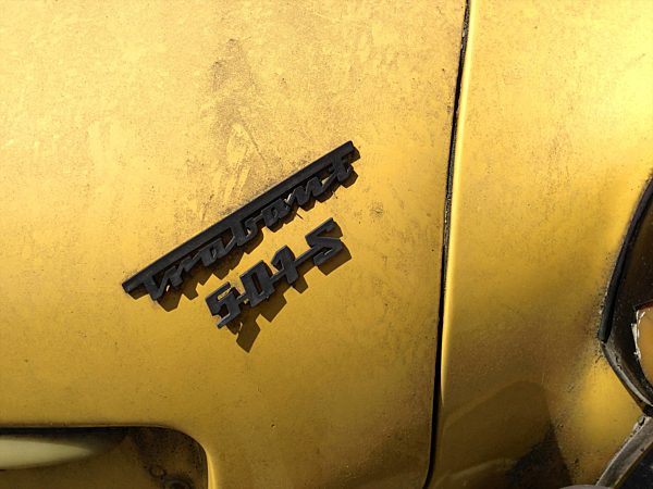 Lettering Trabant, Switzerland, Thurgau, Upper Wood