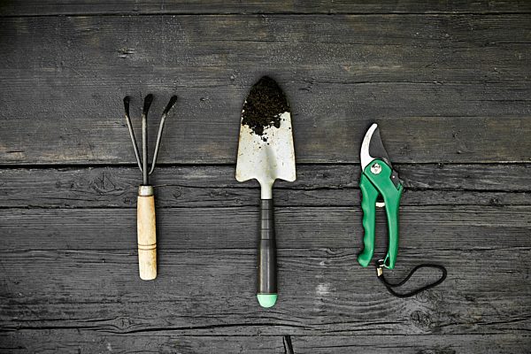 Three gardening tools on dark wood