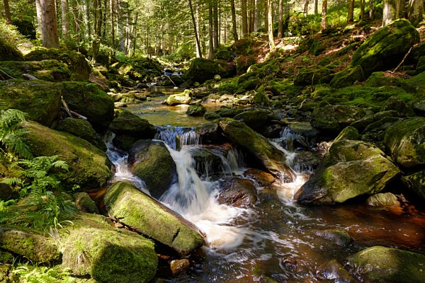 Germany, Bavaria, Bavarian Forest, Steinklamm