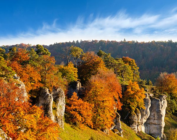 Germany, Bavaria, Franconia, Central Franconia, Altmuehl Valley, near Solnhofen, Rock formation Twelve Apostles, Altmuehl river in autumn