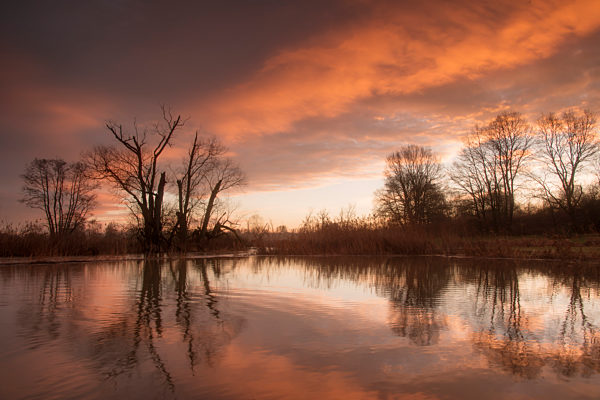 ueberflutete Felder an der Paar bei Aichach