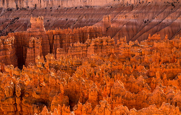 16.10.2017 Hoodoos im Bryce Canyon Natrionalpark Colorado Plateau, Herbst