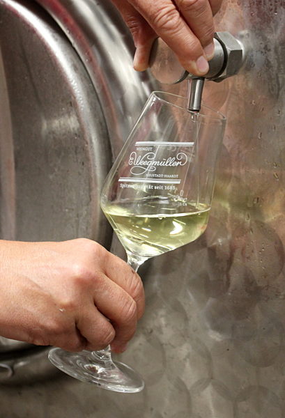 Scheurebe-Wein - Stefanie Weegmüller